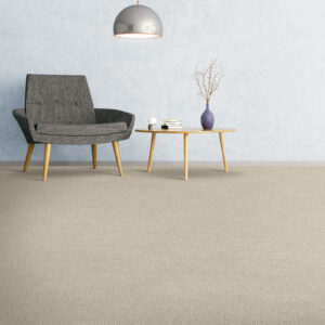 Comfortable carpet | Classic Flooring Center