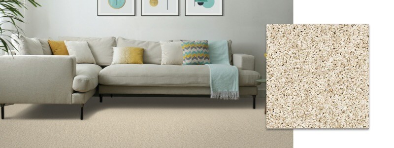 Living room carpet | Classic Flooring Center