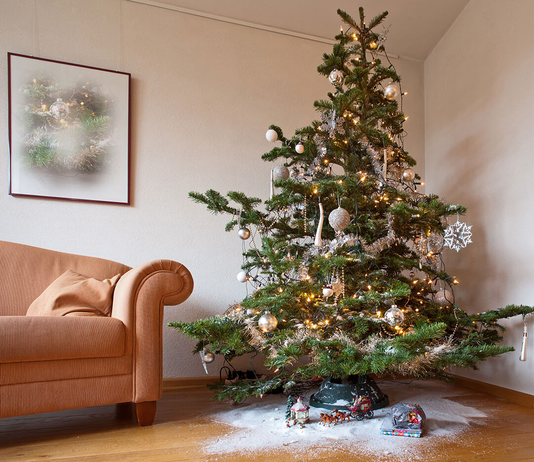 Christmas tree and floor