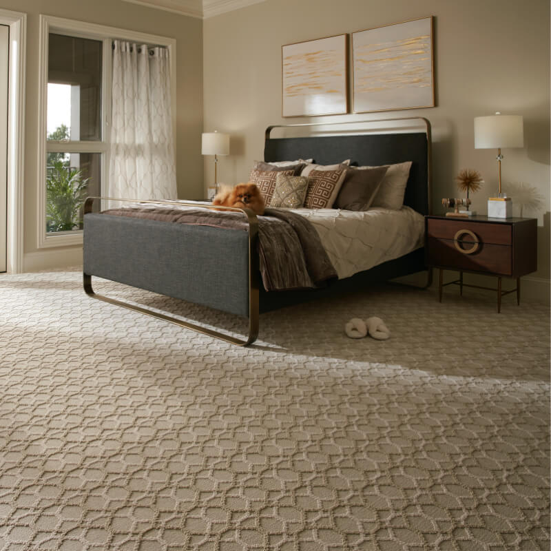 cozy textured carpet in a bedroom 