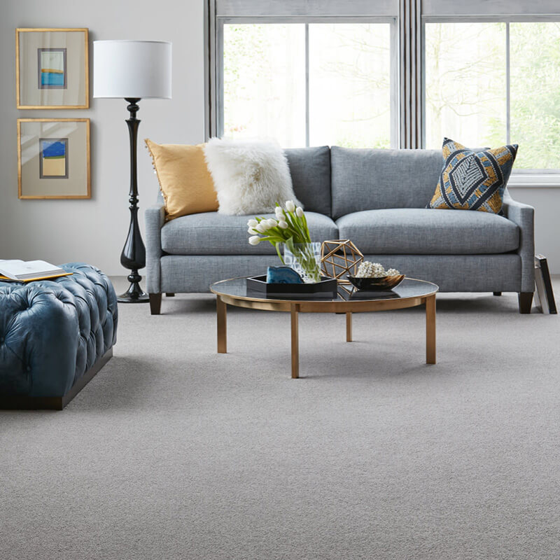 neutral colored living room with gray carpet