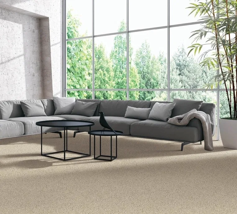 Beautiful Carpet Flooring banner image