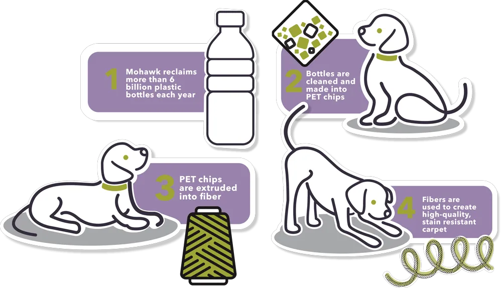 PetPremier_bottle_steps_grouped-1 PetPremier_bottle_steps_grouped-1