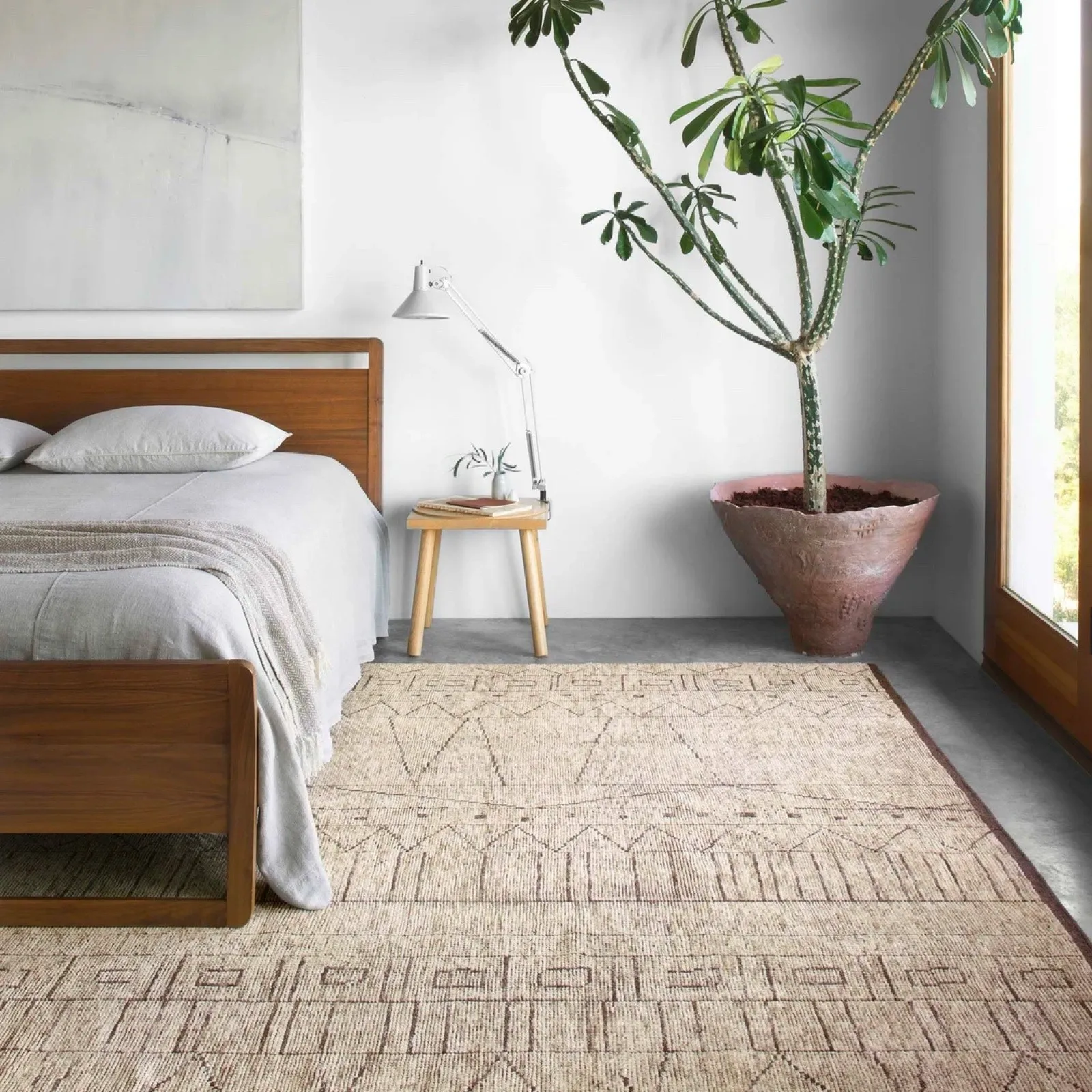 Regular Vacuuming for Optimal Rug Care image