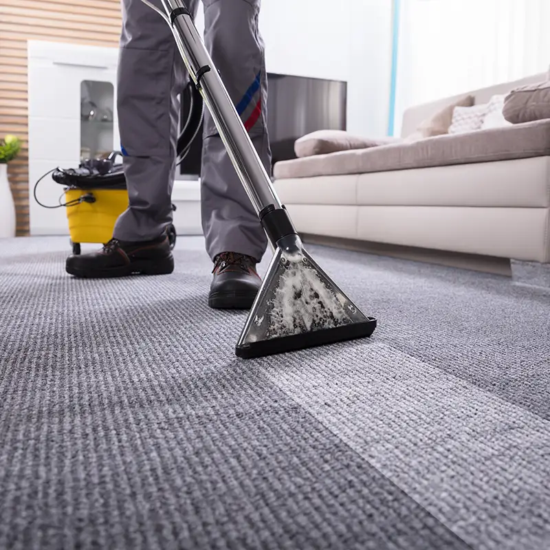 professional carpet cleaning 